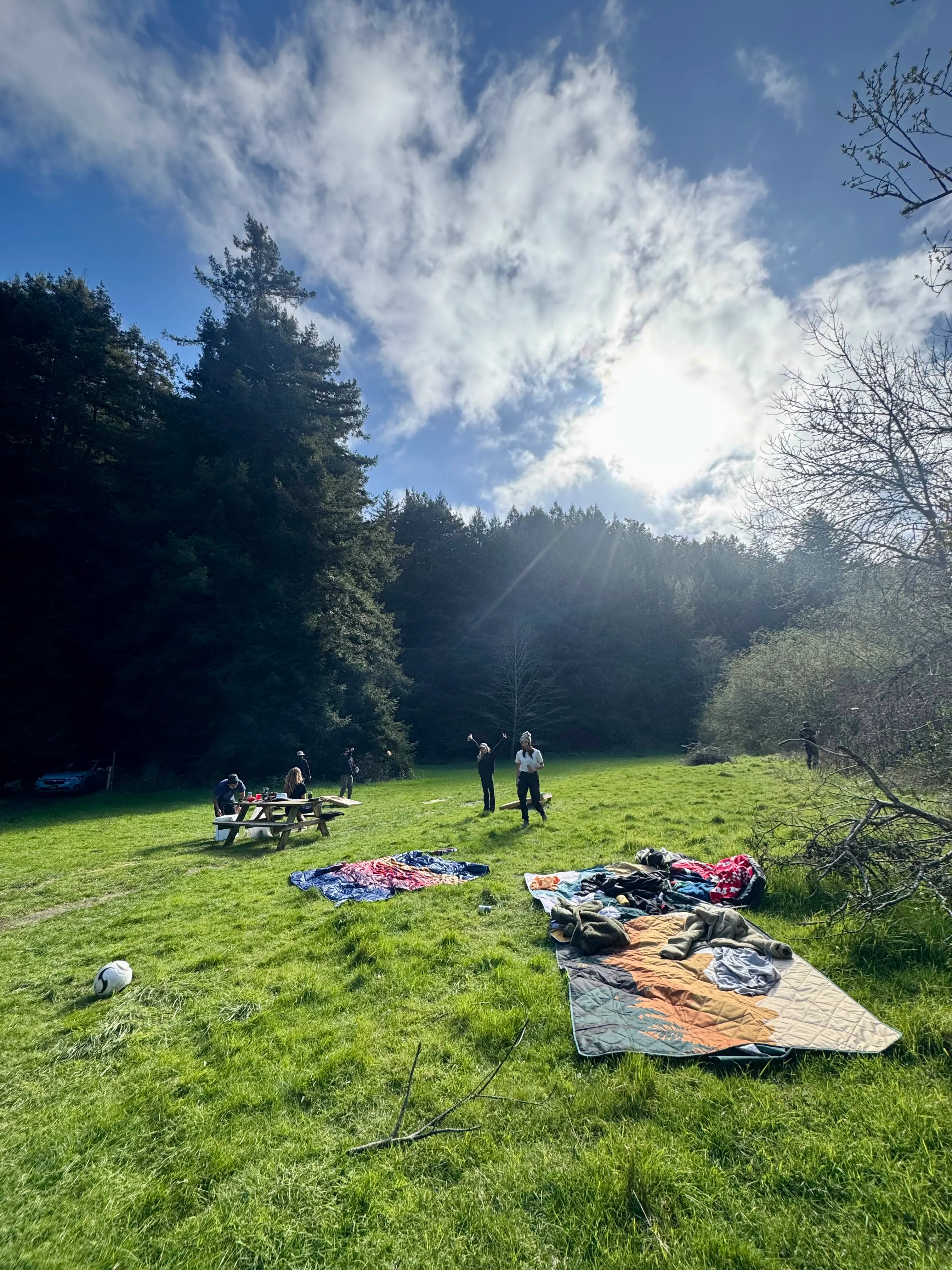 <em>Camping in Bodega Bay</em>