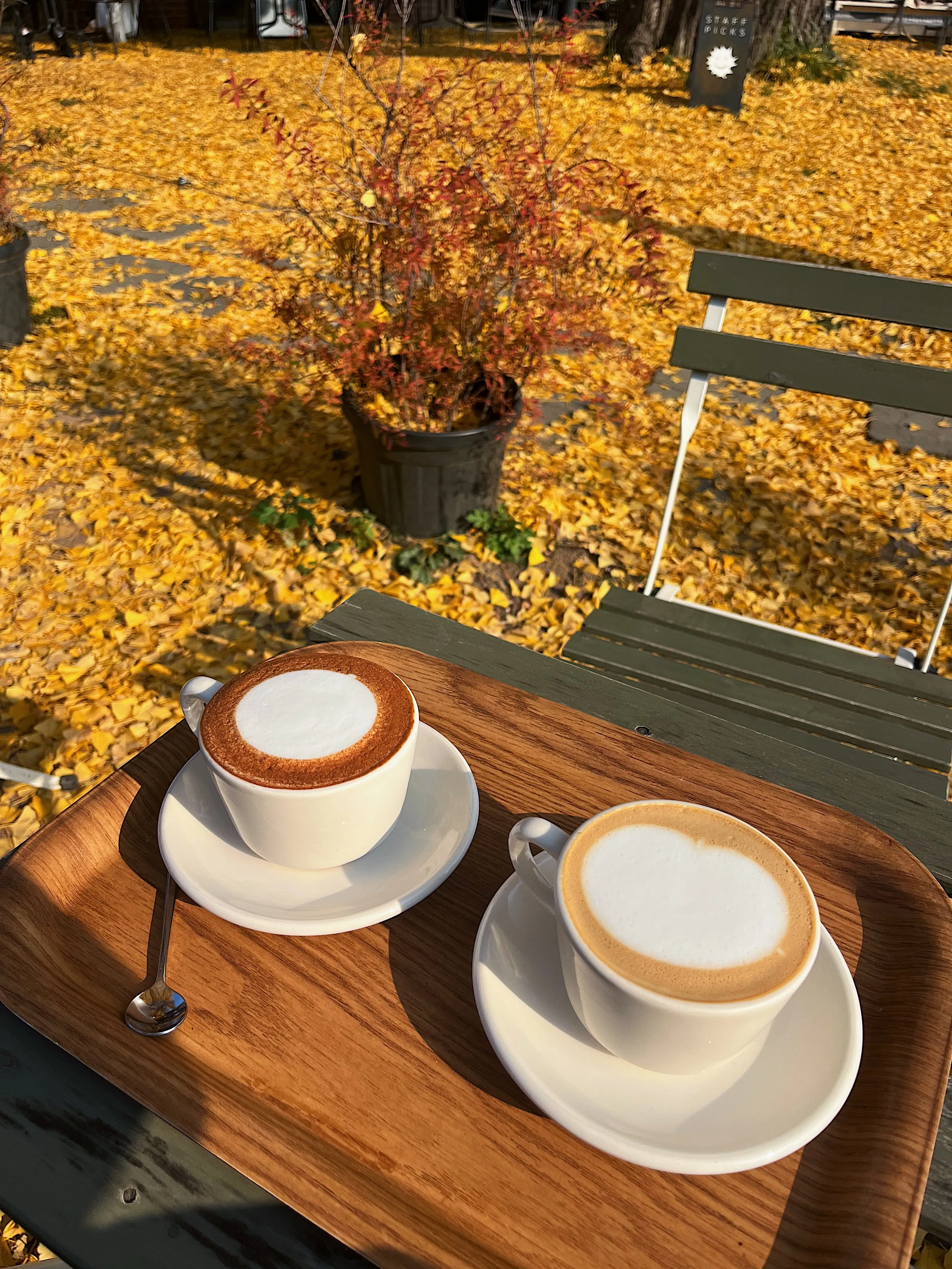 <em>Cutest cafe in Seoul</em>